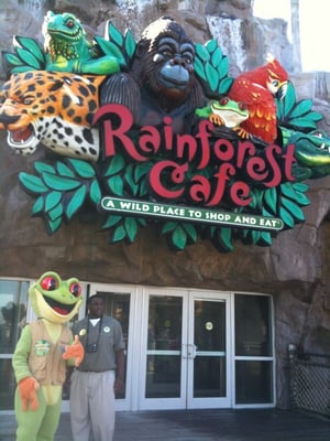 Rainforest Cafe by null