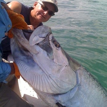 Fishing-guy - Tarpon ponce inlet - Fishing Near Me - New Smyrna Beach, Florida