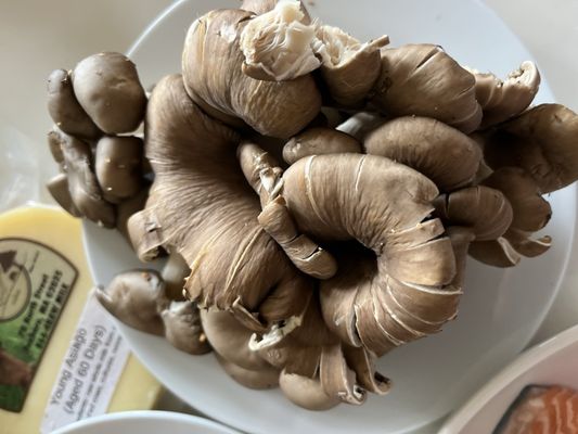 THE mushroom shop by null