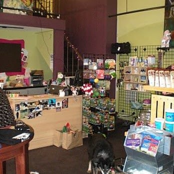 Peace Dog - Pet Services Near Me Peace Dog - Pet Services Near Me