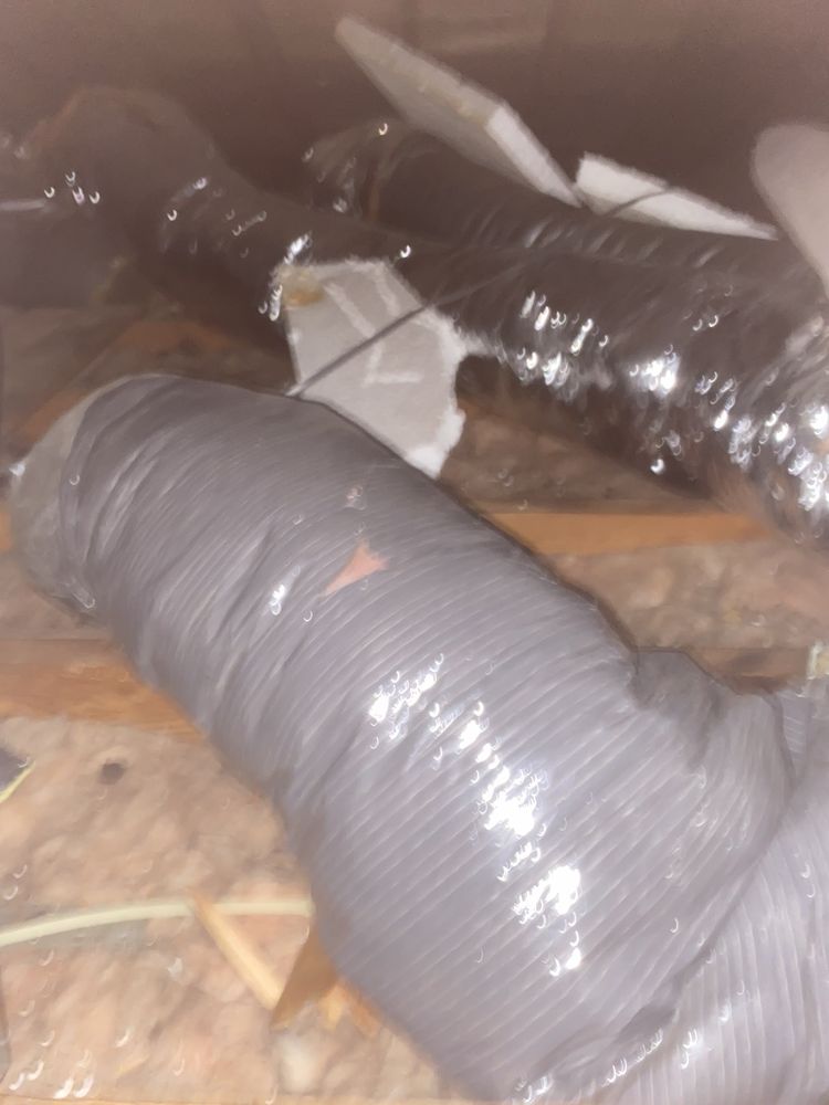 Slide of Gold Medal Service