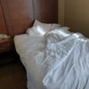 Comfort Suites Baymeadows Near Butler Blvd gift card
