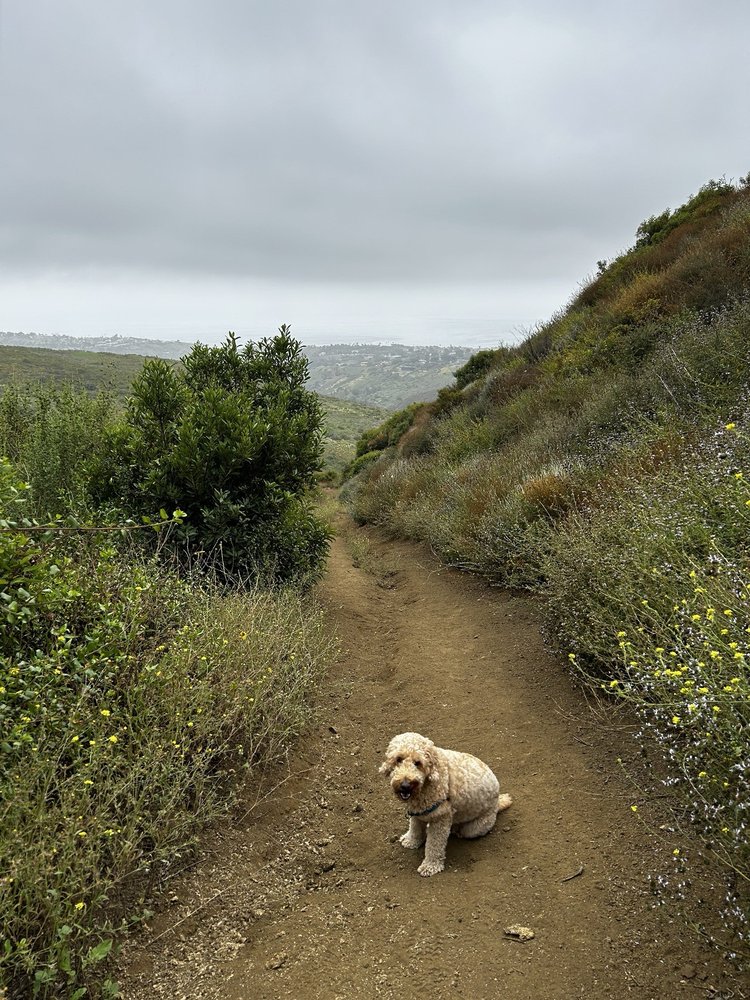 Zuma Ridge Trail Logo