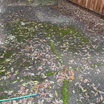 Ocean Breeze Maintenance - Ocean breeze maintenance power washing - Pressure Washers Near Me Ocean Breeze Maintenance - Ocean breeze maintenance power washing - Pressure Washers Near Me