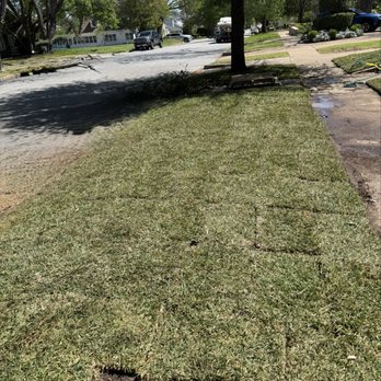 Sims Grass - Sims grass-St. Augustine - Firewood Near Me - Bedford, Texas Sims Grass - Sims grass-St. Augustine - Firewood Near Me - Bedford, Texas