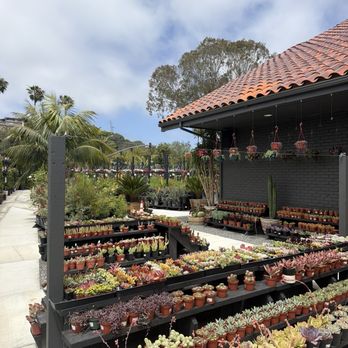 Selva Coffee House - Coffee & Tea Near Me - Del Mar, California