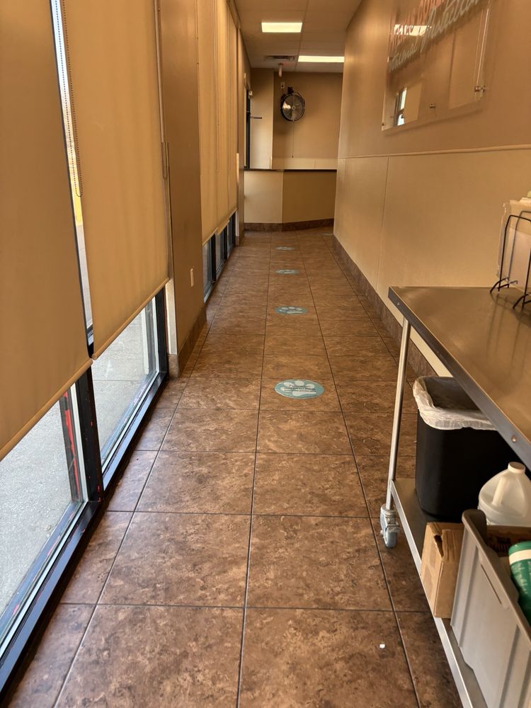 Texas Coalition For Animal Protection - social services organization in Arlington, TX