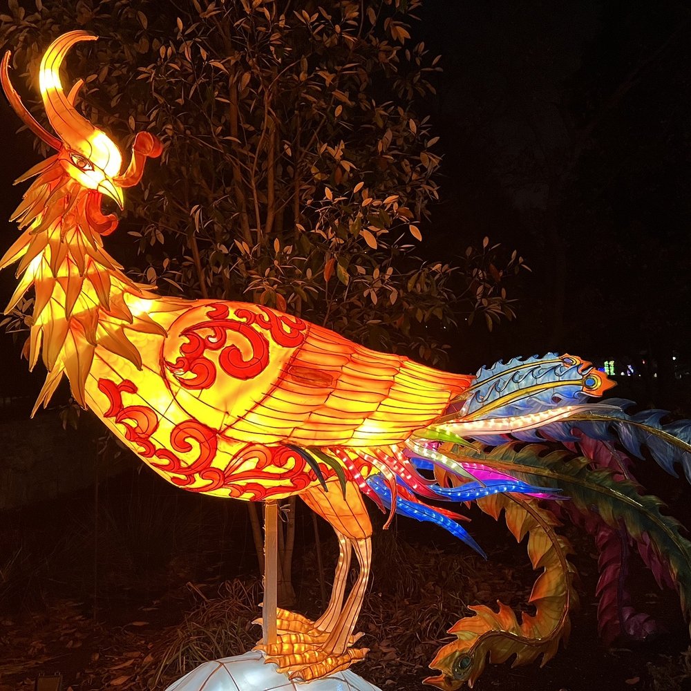ZooLights - Phoenix?!!! - Zoos Near Me - Washington, DC, District of Columbia