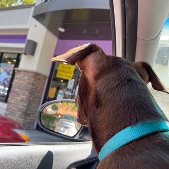 Taco Bell - Fast Food Near Me - Davis, California Taco Bell - Fast Food Near Me - Davis, California