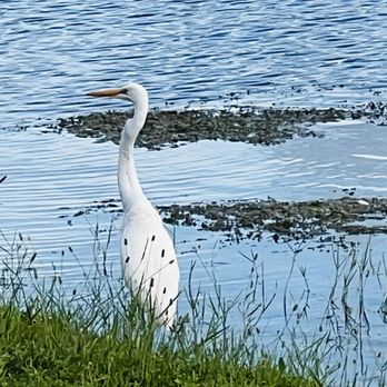 Whispering Oaks Park - Parks Near Me - Coral Springs, Florida Whispering Oaks Park - Parks Near Me - Coral Springs, Florida