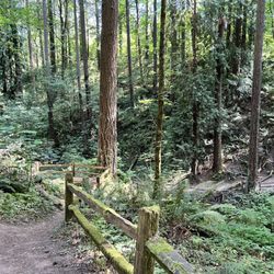 Woods Memorial Natural Area - Woods Memorial Natural Area