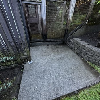 Sacco & Co - Pressure washed deck - Gutter Services Near Me - Kirkland, Washington Sacco & Co - Pressure washed deck - Gutter Services Near Me - Kirkland, Washington