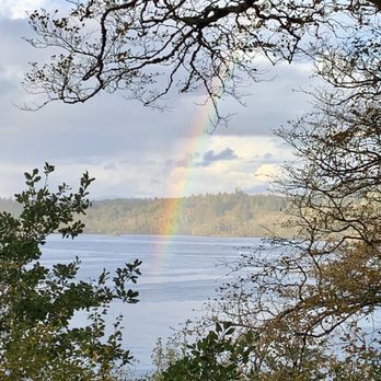 Ashford Castle - Our walk with the Irish wolf hounds - Hotels Near Me - Cong, Missouri