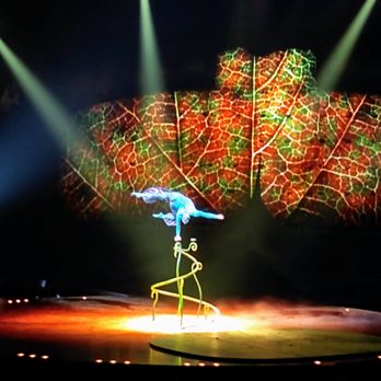 Rio Rancho Events Center - This guy was so strong and flexible - pretty stunning. - Stadiums & Arenas Near Me - Rio Rancho, New Mexico Rio Rancho Events Center - This guy was so strong and flexible - pretty stunning. - Stadiums & Arenas Near Me - Rio Rancho, New Mexico
