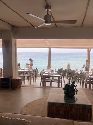 Amante Ibiza by null