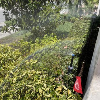 Comeau Environmental Creation - Irrigation Near Me