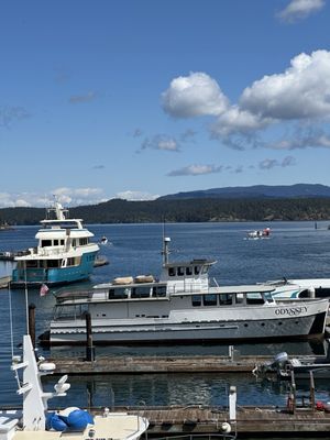 Downriggers - Friday Harbor by null