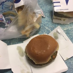 the beggining the beggining
