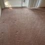 Photo of Xpress Carpet Cleaning
