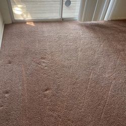 Xpress Carpet Cleaning - Stain and urine removal