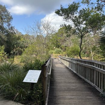 Enchanted Forest Sanctuary - Boardwalk right outside of the education center - Hiking Near Me - Titusville, Florida Enchanted Forest Sanctuary - Boardwalk right outside of the education center - Hiking Near Me - Titusville, Florida