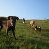 King Estates Open Space Park gift card