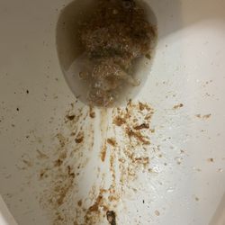 Food poisoning turned my whole night out of town