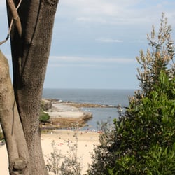Clovelly Beach