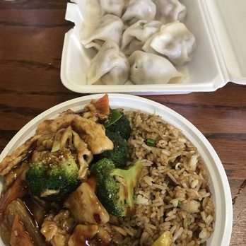 Yum's Chinese Restaurant - a plate of food and a container of dumplings - Chinese Near Me - Lake City, Florida Yum's Chinese Restaurant - a plate of food and a container of dumplings - Chinese Near Me - Lake City, Florida
