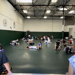 Gracie Jiujitsu University - From outside looking in before the beginner/ adult class (Gracie combatives).