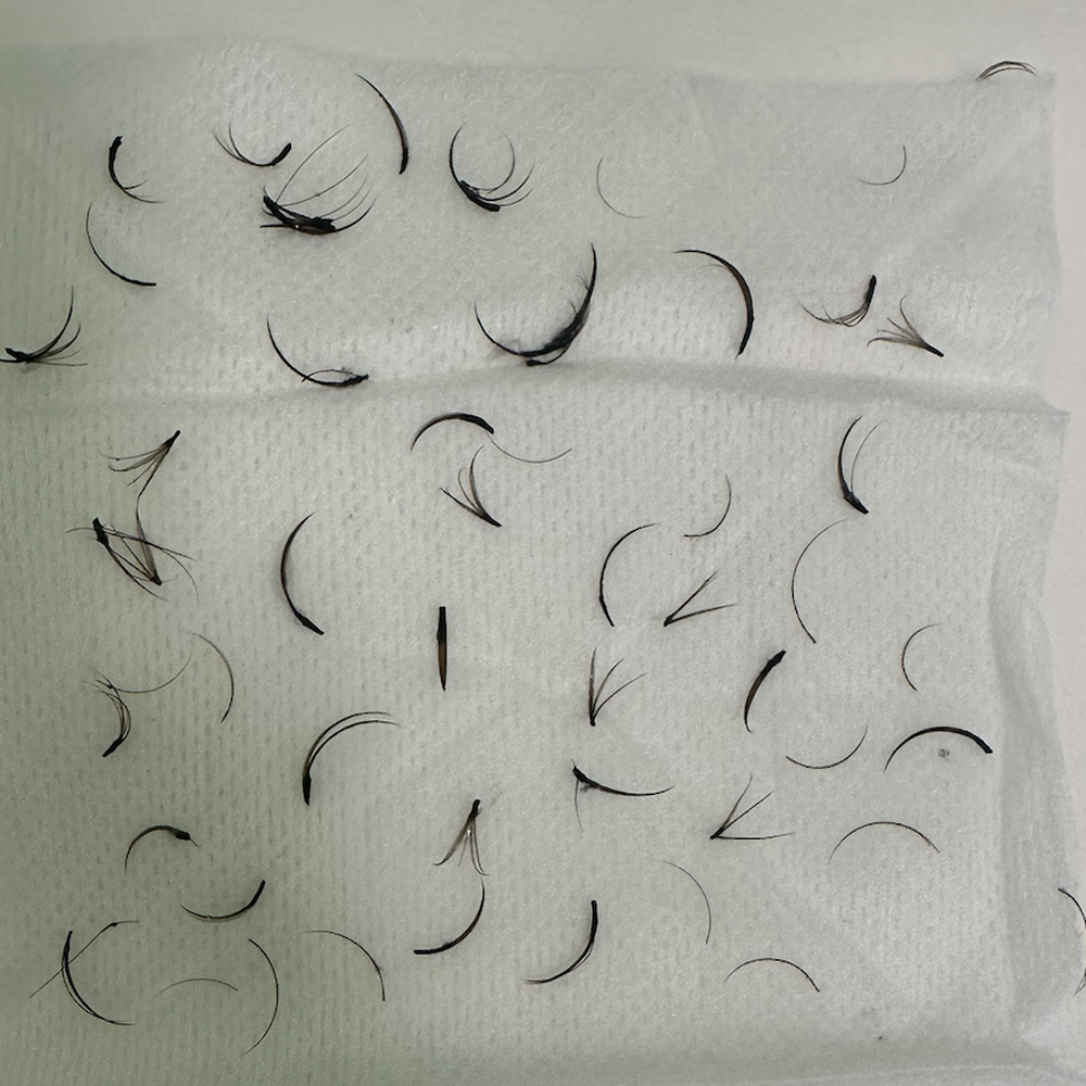 Skyelash Studio - Another artist helped me remove the lashes, the glue is attached to 3-4 lashes together, gummy clump - Eyelash Service Near Me - San Jose, California Skyelash Studio - Another artist helped me remove the lashes, the glue is attached to 3-4 lashes together, gummy clump - Eyelash Service Near Me - San Jose, California