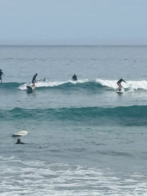 Cabo Surf Hotel & Spa by null