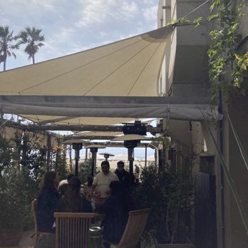 Fig Tree - Cafes Near Me - Los Angeles, California Fig Tree - Cafes Near Me - Los Angeles, California