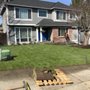 Photo of Solid Landscape Services