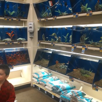 PetSmart - Pet Training Near Me - Apple Valley, California