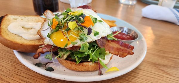 Bluestone Lane Old Towne Orange Café by null