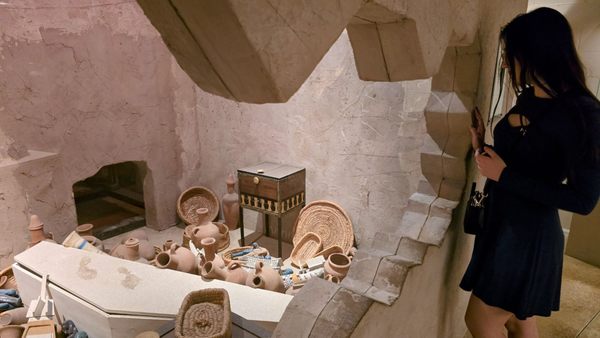 Las Vegas Science & Natural History Museum by null