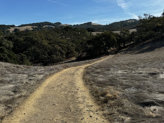 Taylor Mountain Regional Park by null