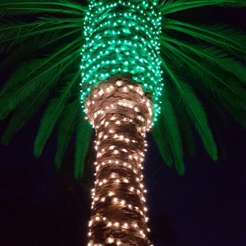 Christmas Light Pros - Chris George - Holiday Decorating Services Near Me