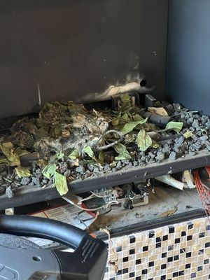 Ricos Handyman Service