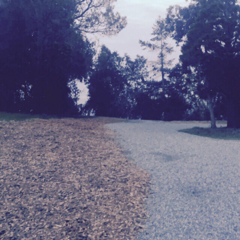 Saratoga Quarry Park - Nice walks especially at sunset - Parks Near Me - Saratoga, California