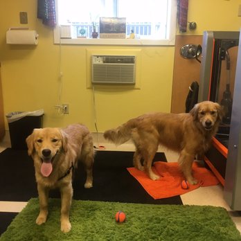 Healing Arts Animal Care - Veterinarians Near Me - Beaverton, Oregon Healing Arts Animal Care - Veterinarians Near Me - Beaverton, Oregon