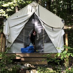 Glamping at Treetopia! Glamping at Treetopia!