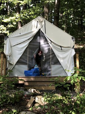 Treetopia Airstream Hotel and RV Campground by null