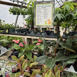LittleTree Garden Market