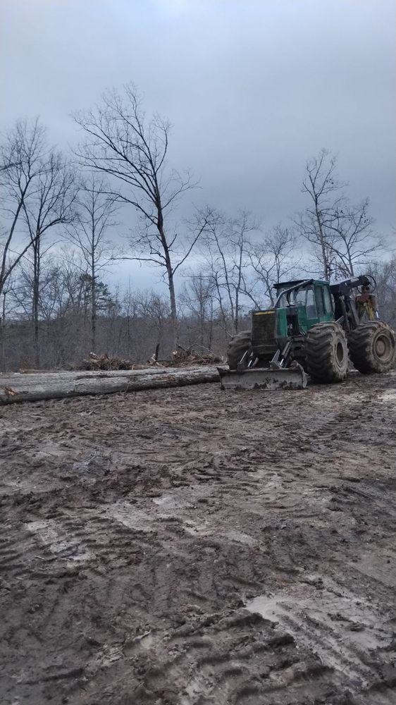 Timber Jc JC TIMBER AND LAND CLEARING - Updated December 2025 - Request a Quote ...