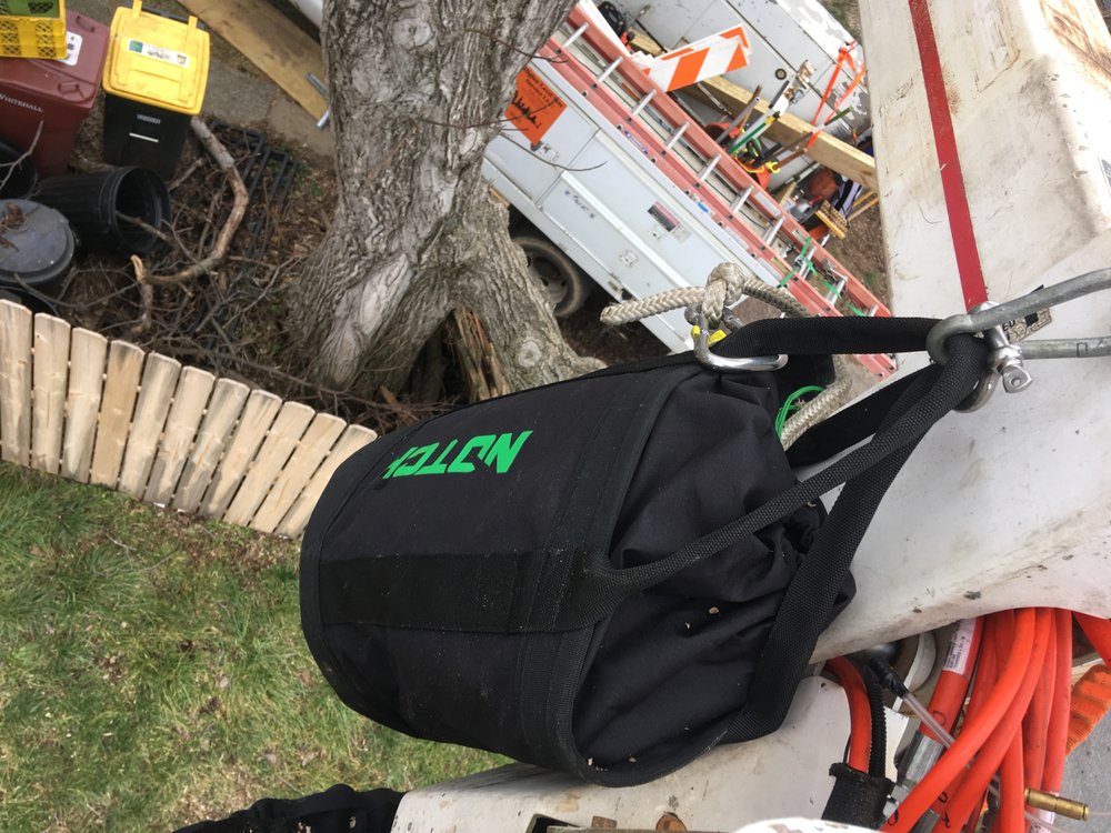 O'Brien's Tree Service CIncinnati - tree service in Cincinnati, OH