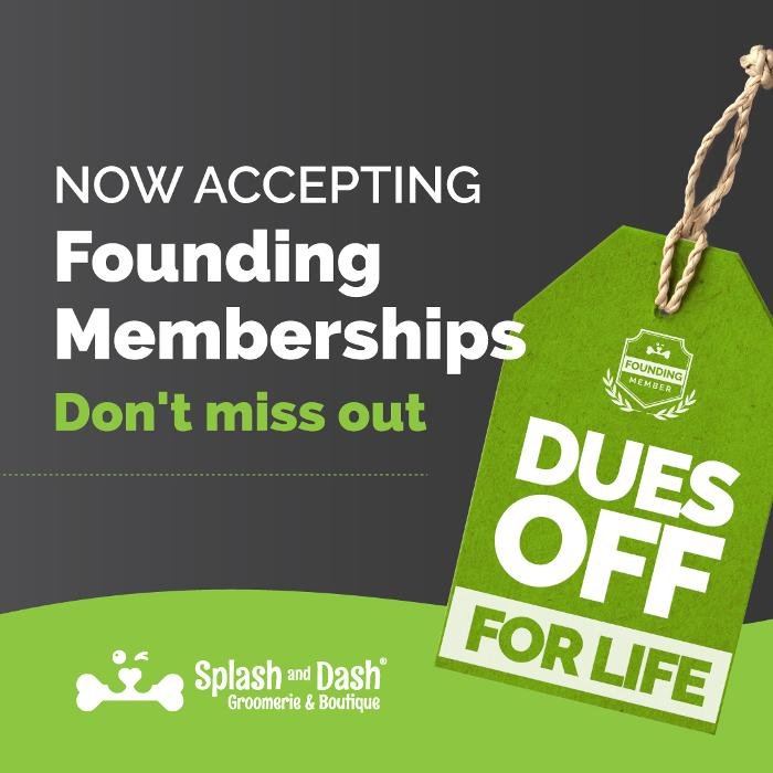 SPLASH AND DASH Updated April 2024 539 Arsenal St, Watertown