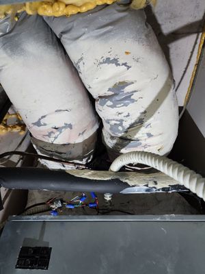 Shell Island Resort by null