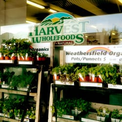 Harvest Wholefoods